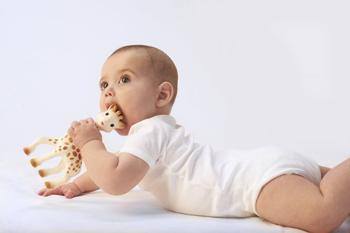 Teething Survival Guide: From First Chew to First Steps